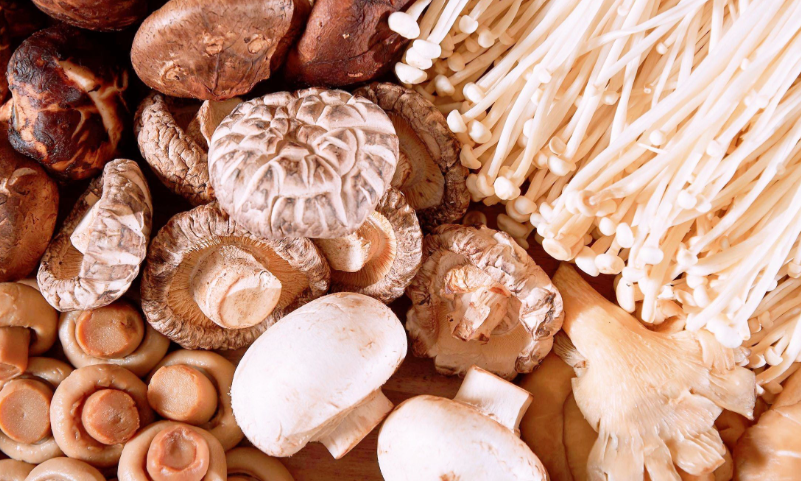 食用菌冷庫種植保鮮存儲(chǔ)